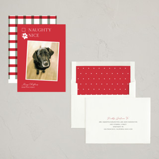 This is a poinsettia holiday photo cards with standard by Kat Roberts called nice pup printing on recycled smooth signature in standard