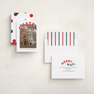 This is a holly holiday photo cards with standard by Angela Garrick called chase joy printing on recycled smooth signature in standard