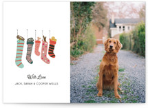 Festive Dog Card