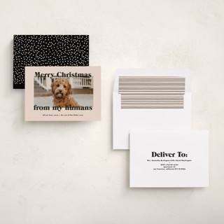 This is a sugar cookies holiday photo cards with standard by Annie Clark called happy howlidays printing on recycled smooth signature in standard