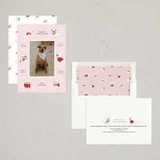 This is a blush holiday photo cards with standard by Itsy Belle Studio called dog days of christmas printing on recycled smooth signature in standard