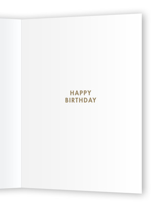 This is a snow birthday cards with standard by Baumbirdy called exclaimation printing on signature in greeting cards