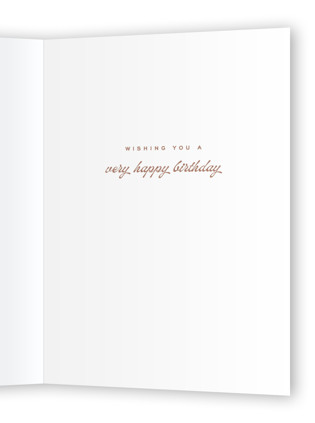 This is a blush birthday cards for her with standard by Ellen Schlegelmilch called older, wiser, hotter. printing on signature in greeting cards