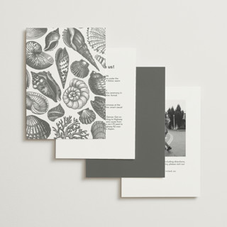 This is a silk foil stamped wedding invitations with foil pressed by Kelly Schmidt called seashore printing on signature in standard