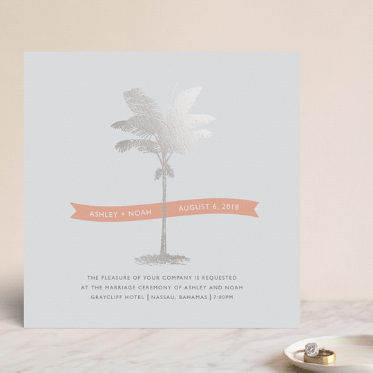 Palm