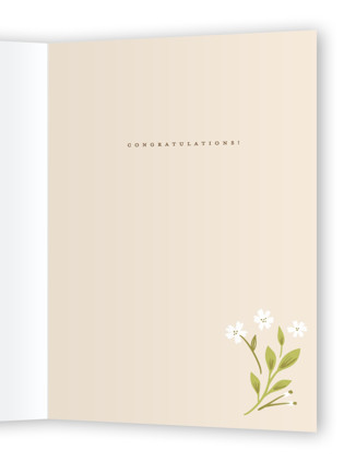 This is a spruce graduation cards with standard by Ana Sharpe called grad diploma printing on signature in greeting cards