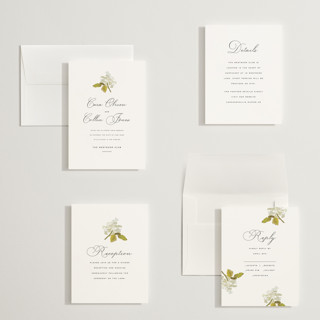 This is a linen petite wedding invitations with standard by Olivia Kanaley Inman called limelight printing on signature in petite