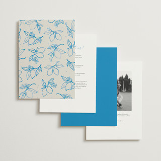 This is a ocean petite wedding invitations with standard by Pati Cascino called mediterraneo printing on signature in petite