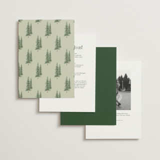 This is a forest petite wedding invitations with standard by Elly called whispering pines printing on signature in petite