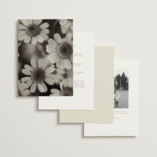 This is a vanilla wedding invitations with standard by Blustery August called nonnette printing on signature in standard