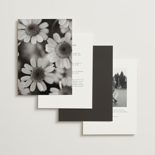 This is a ink wedding invitations with standard by Blustery August called nonnette printing on signature in standard