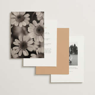 This is a peach wedding invitations with standard by Blustery August called nonnette printing on signature in standard