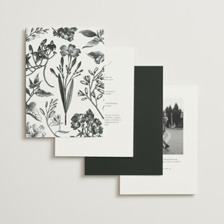 This is a silk wedding invitations with standard by Kelly Schmidt called soho printing on signature in standard