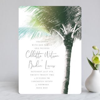 Summer Palm by Baumbirdy