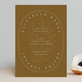 Delicate Seal by Lindsay Stetson Thompson