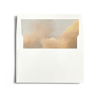 This is a soft pastel wedding envelopes with standard by Christa Kimble called softness printing on signature in liner
