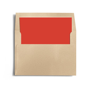 This is a stocking wedding envelopes with standard by Minted called red liner printing on signature in liner