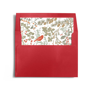 This is a spruce wedding envelopes with standard by Tara Grangroth called winter greens printing on signature in liner