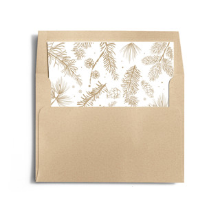 This is a cream wedding envelopes with standard by Benita Crandall called allegro printing on signature in liner