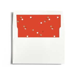 This is a cookie dough wedding envelopes with standard by Jennifer Postorino called funfetti printing on signature in liner