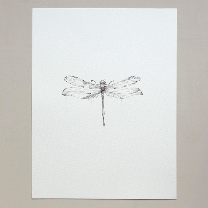 Dragonfly