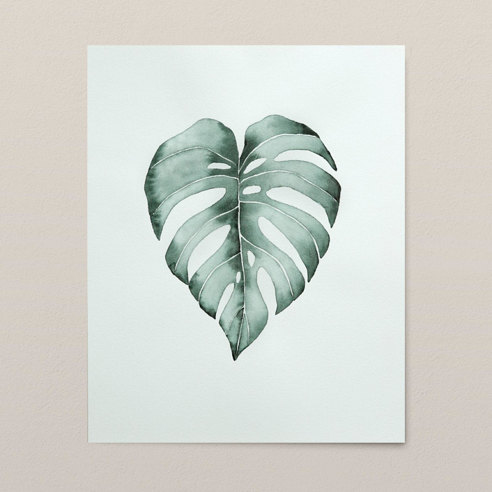 philodendron billietiae variegata kaufen Philodendron Billietiae Variegata – Exotic-Flowers main image 1