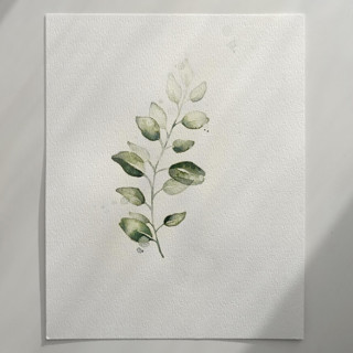 This is a green original painting by Angele Kamp called Eucalyptus branch in standard.