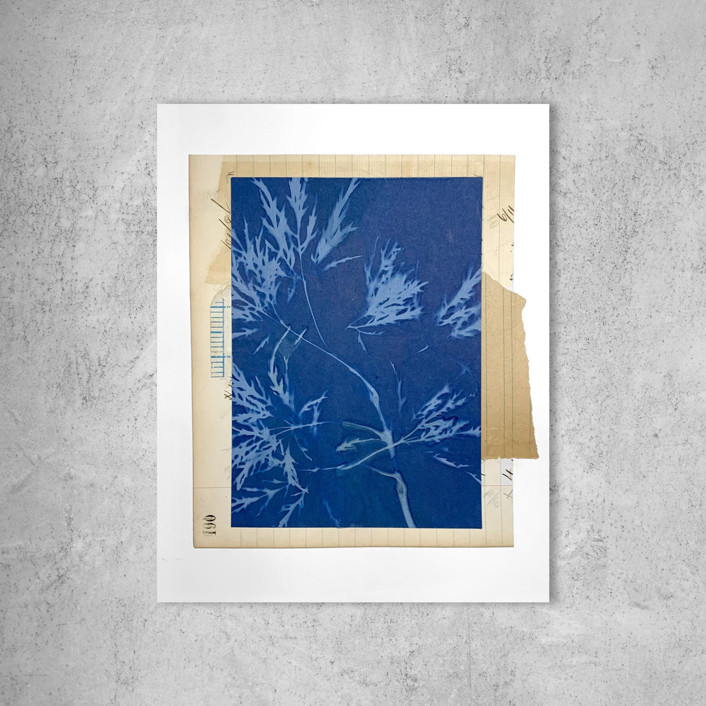 Cyanotype Collage 2 Mixed Media by Field and Sky Minted