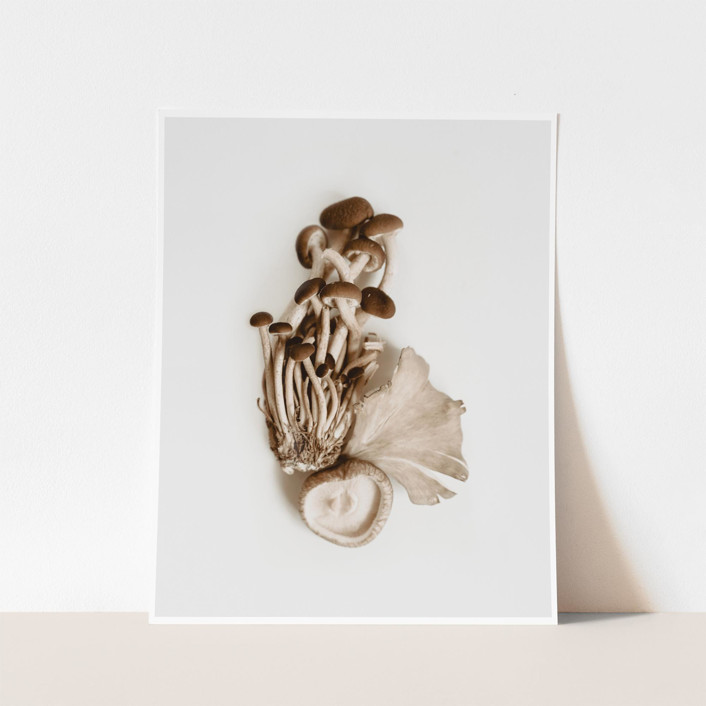 Exotica I - 8" x 10"