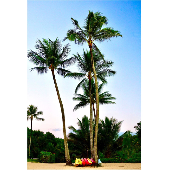 Tropical State of Mind, canvas