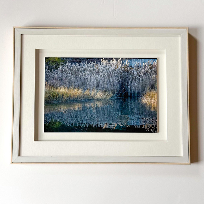 Reeds