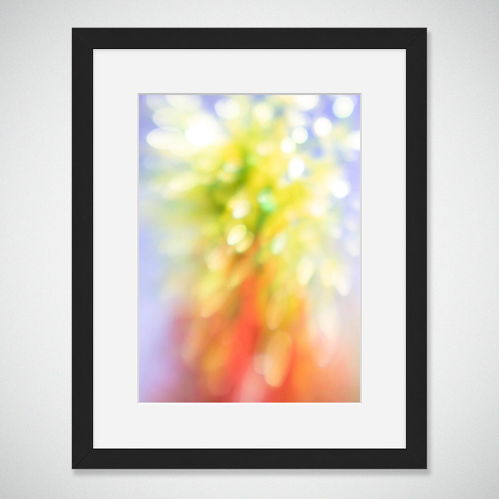 Burst (11" x 14")