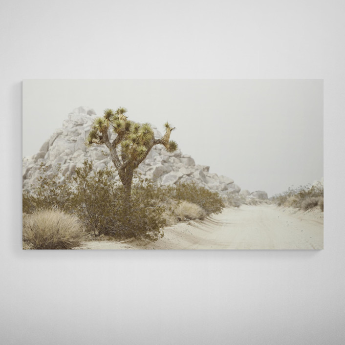 Desert Flurry 16" x 9" Fine Art Prints by Kamala Nahas Minted