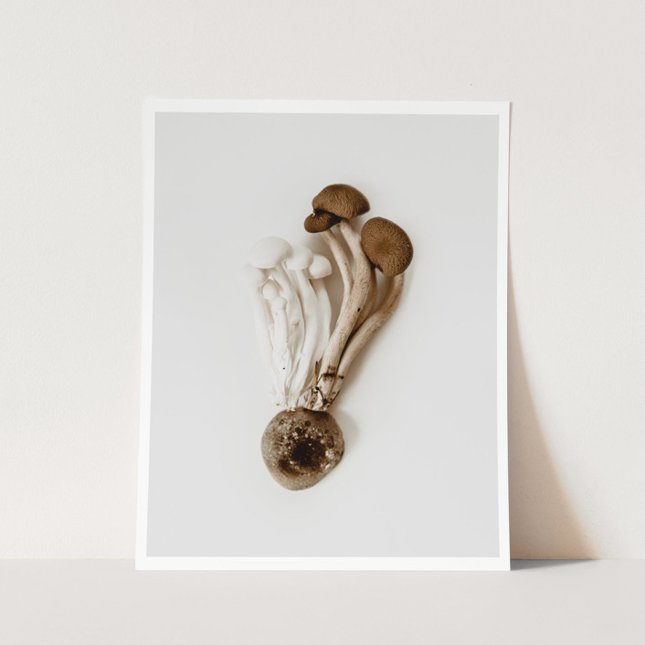 Exotica IV - 8" x 10"