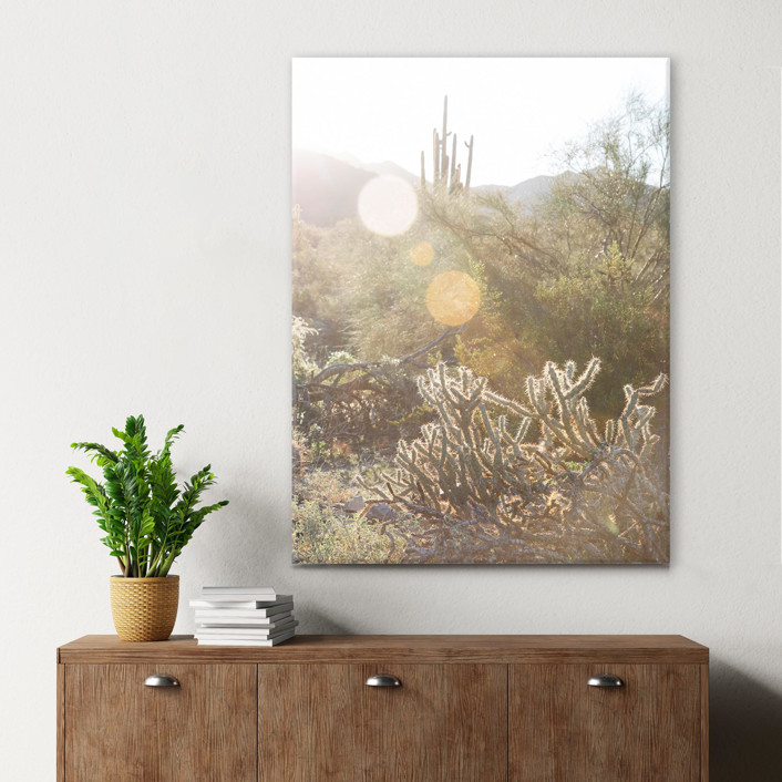 Sonoran Desert (18" x 24")