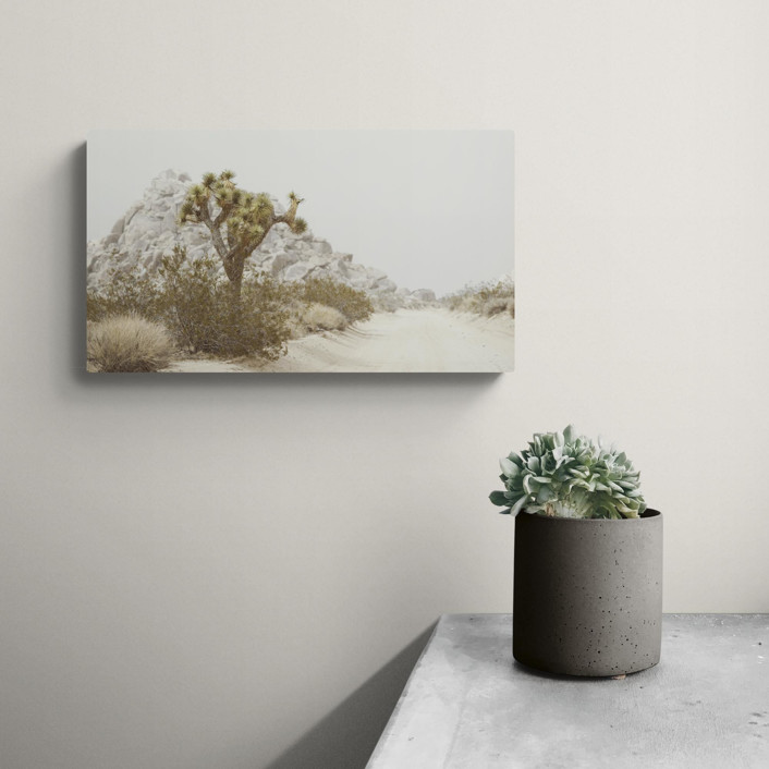 Desert Flurry 32" x 18" Photography by Kamala Nahas Minted