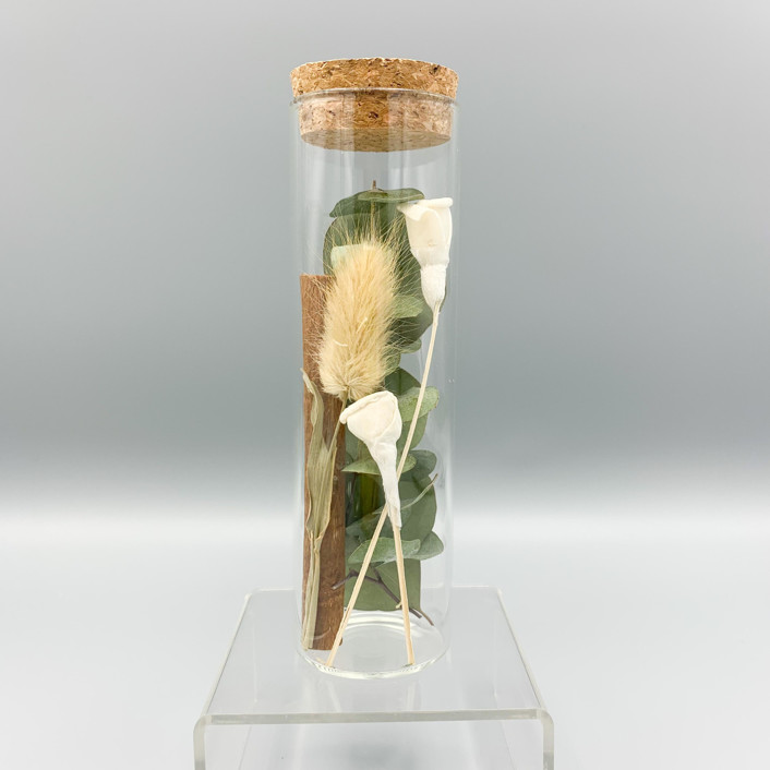 Dried Flower Herbarium Botanical Eucalyptus