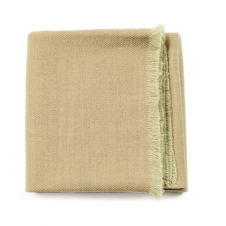 This is a green throw blanket by Anjali Purohit called Haze Throw.