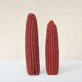 This is a brown candles and candle holders by Happy Organics called chestnut - corn beeswax candle set in standard