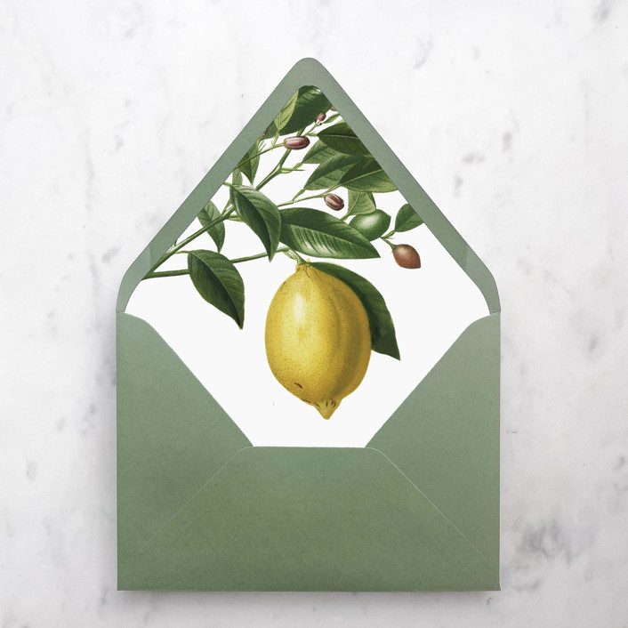 A7 Envelope Liners Lemon Tree (set of 10)