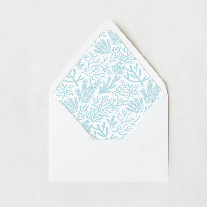 Light Blue Coral Reef Liner | Set of 25 Euro Envelope Liners