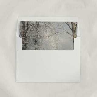 This is a multicolorassorted-colors wedding envelopes by Studio Lavender called winter envelope liners, square flap, pack of 25 in standard