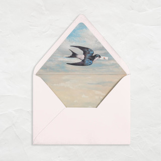 This is a multicolorassorted-colors wedding envelopes by Clover and Lamb called a7 valentine liners // winged messenger (set of 25) in standard