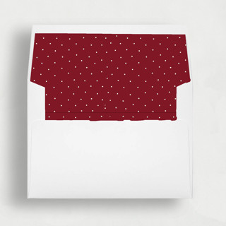 MIN-JBB-MEA - North Pole Express: Adorable Christmas Envelope Liners | Set of 25