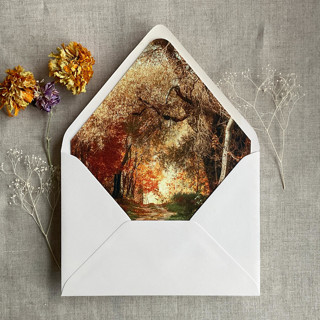 This is a multicolor wedding envelopes by Ivory Invitations called autumn forest fine art landscape printed liner for a7 euro flap envelope | pack of 10 in standard