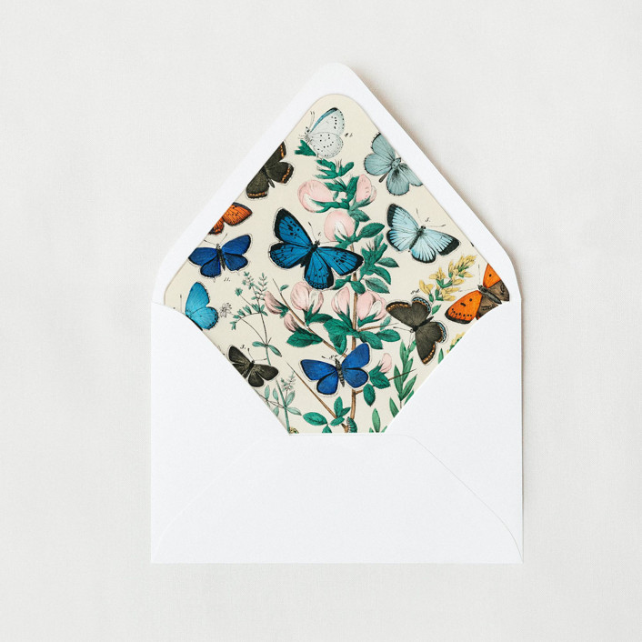 Wildflower Butterfly | Set of 25 Envelope Liners