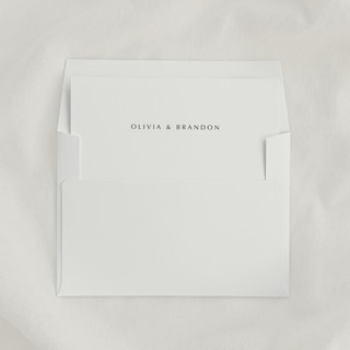 This is a multicolorassorted-colors wedding envelopes by Studio Lavender called custom ‘text’ envelope liners, square flap, pack of 25 in standard