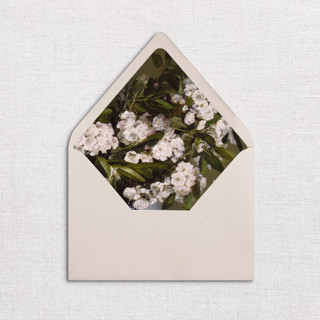 This is a multicolorassorted-colors wedding envelopes by Studio Lavender called tropical floral envelope liners, pack of 25 in standard