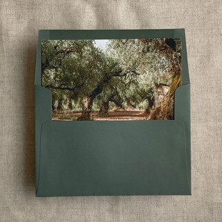 This is a green wedding envelopes by Ivory Invitations called olive tree grove fine art landscape printed liner for a7 square flap envelope | pack of 10 in standard