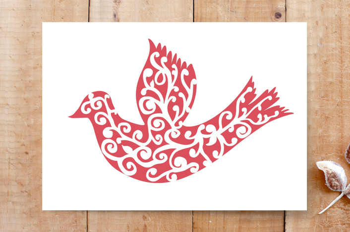 Snow Dove